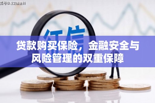 洋县贷款购买保险，金融安全与风险管理的双重保障