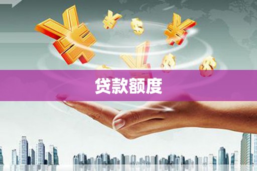 洋县贷款额度