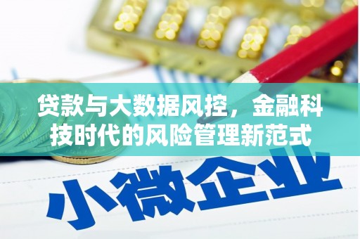 洋县贷款与大数据风控，金融科技时代的风险管理新范式