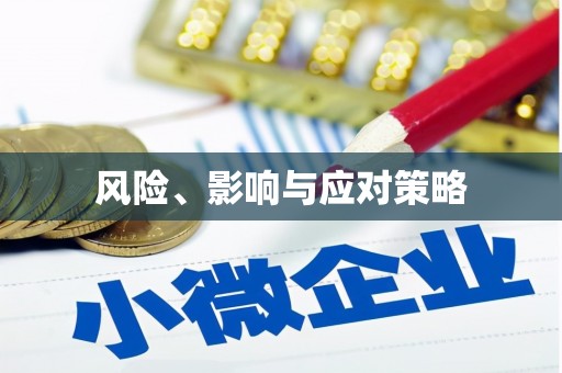 洋县风险、影响与应对策略