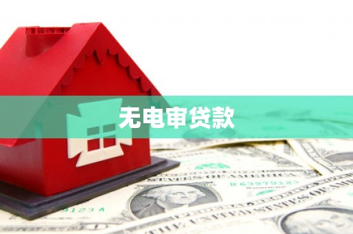 洋县无电审贷款