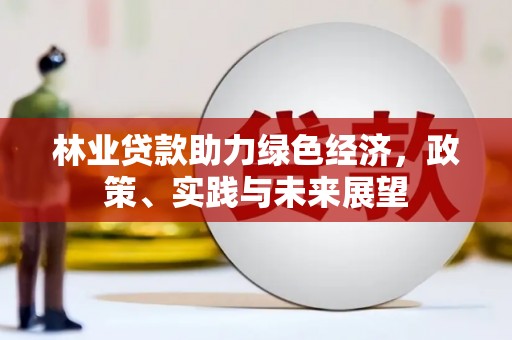洋县林业贷款助力绿色经济，政策、实践与未来展望