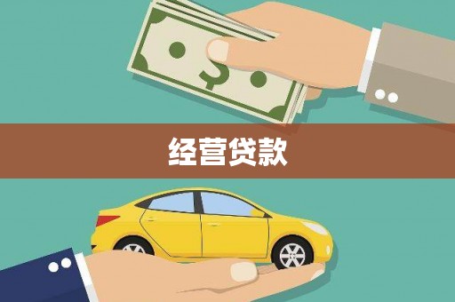 洋县经营贷款