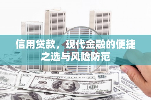 洋县信用贷款，现代金融的便捷之选与风险防范