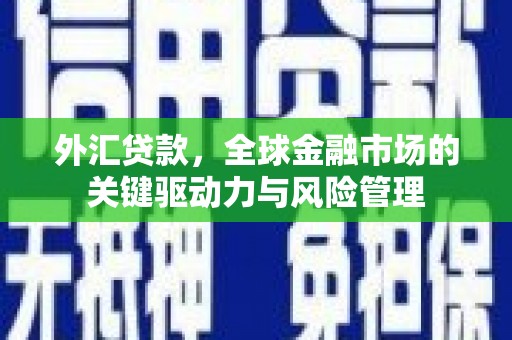 洋县外汇贷款，全球金融市场的关键驱动力与风险管理