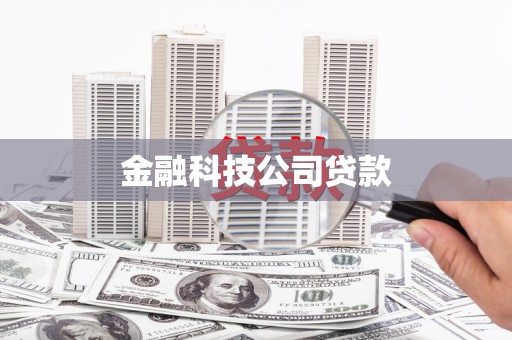 洋县金融科技公司贷款