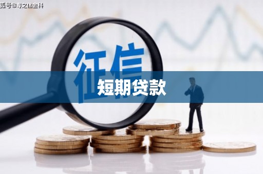 洋县短期贷款