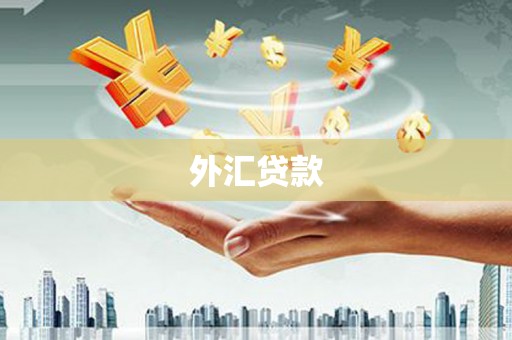 洋县外汇贷款