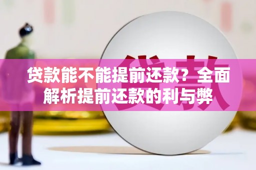 洋县贷款能不能提前还款？全面解析提前还款的利与弊
