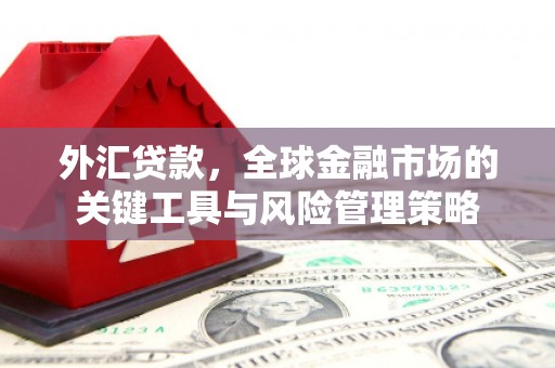洋县外汇贷款，全球金融市场的关键工具与风险管理策略