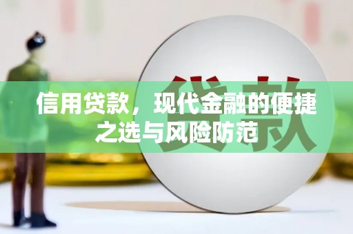 洋县信用贷款，现代金融的便捷之选与风险防范