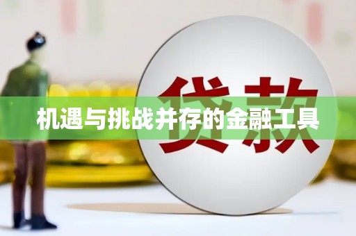 洋县机遇与挑战并存的金融工具