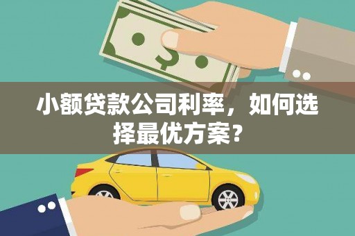 洋县小额贷款公司利率，如何选择最优方案？