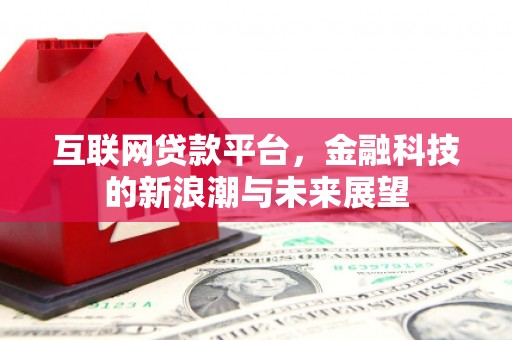 洋县互联网贷款平台，金融科技的新浪潮与未来展望