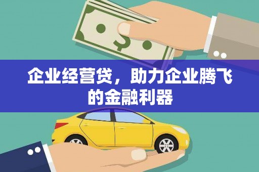 洋县企业经营贷，助力企业腾飞的金融利器