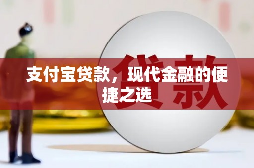 洋县支付宝贷款，现代金融的便捷之选