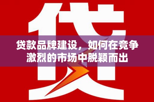 洋县贷款品牌建设，如何在竞争激烈的市场中脱颖而出