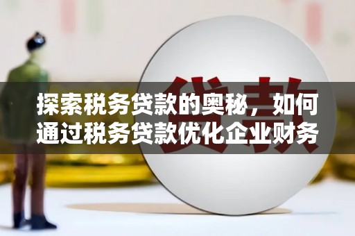 洋县探索税务贷款的奥秘，如何通过税务贷款优化企业财务