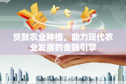 洋县贷款农业种植，助力现代农业发展的金融引擎