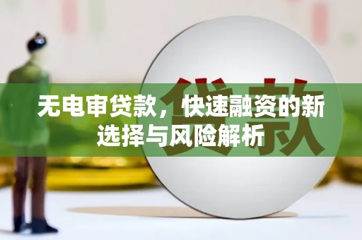 洋县无电审贷款，快速融资的新选择与风险解析