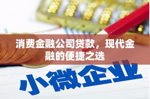 洋县消费金融公司贷款，现代金融的便捷之选