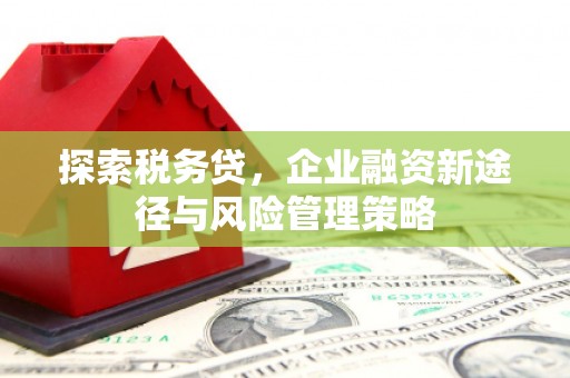 洋县探索税务贷，企业融资新途径与风险管理策略