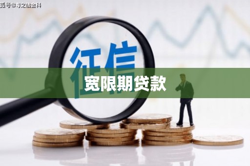 洋县宽限期贷款