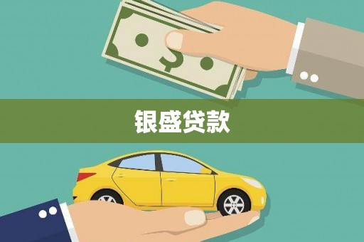 洋县银盛贷款