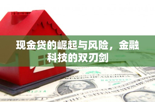 洋县现金贷的崛起与风险，金融科技的双刃剑