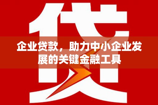 洋县企业贷款，助力中小企业发展的关键金融工具