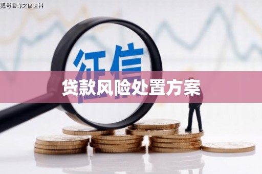 洋县贷款风险处置方案