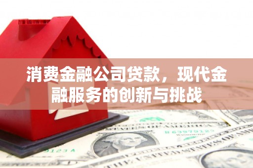 洋县消费金融公司贷款，现代金融服务的创新与挑战