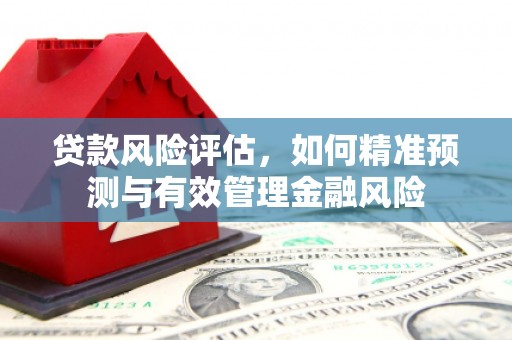 洋县贷款风险评估，如何精准预测与有效管理金融风险