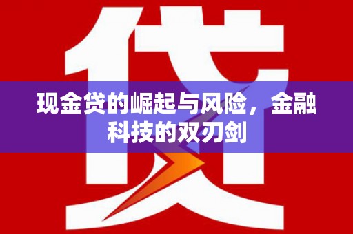 洋县现金贷的崛起与风险，金融科技的双刃剑