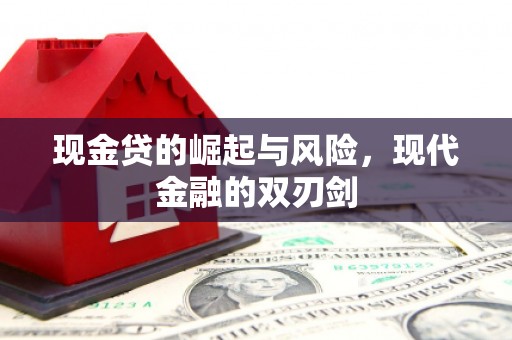 洋县现金贷的崛起与风险，现代金融的双刃剑