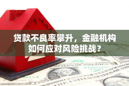 洋县贷款不良率攀升，金融机构如何应对风险挑战？