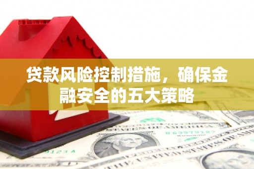 洋县贷款风险控制措施，确保金融安全的五大策略