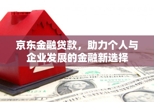 洋县京东金融贷款，助力个人与企业发展的金融新选择