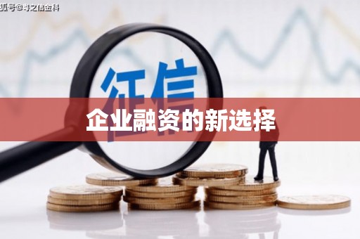 洋县企业融资的新选择