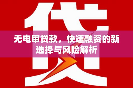 洋县无电审贷款，快速融资的新选择与风险解析