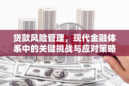 洋县贷款风险管理，现代金融体系中的关键挑战与应对策略