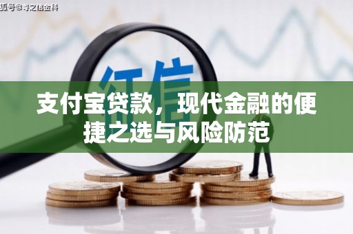洋县支付宝贷款，现代金融的便捷之选与风险防范