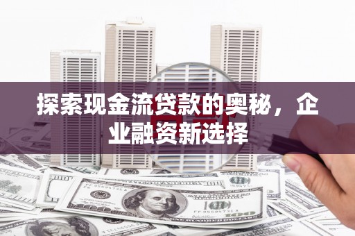 洋县探索现金流贷款的奥秘，企业融资新选择