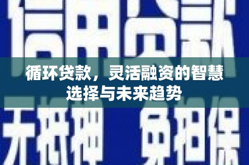 洋县循环贷款，灵活融资的智慧选择与未来趋势