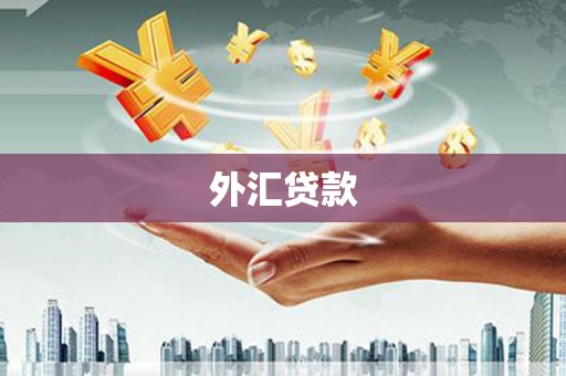 洋县外汇贷款
