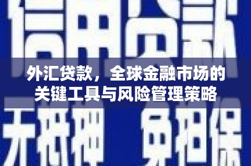 洋县外汇贷款，全球金融市场的关键工具与风险管理策略