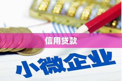 洋县信用贷款