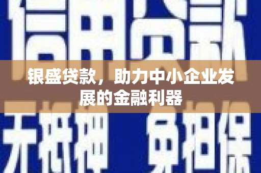 洋县银盛贷款，助力中小企业发展的金融利器