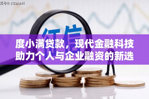 洋县度小满贷款，现代金融科技助力个人与企业融资的新选择