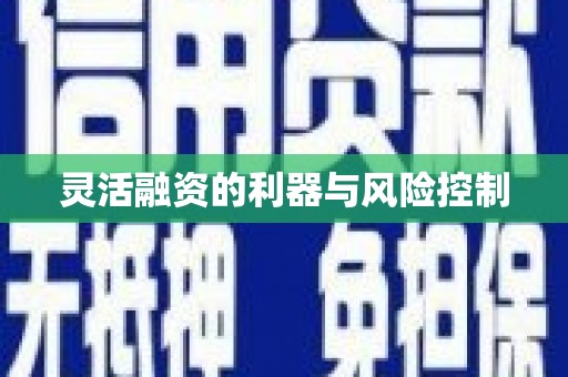 洋县灵活融资的利器与风险控制